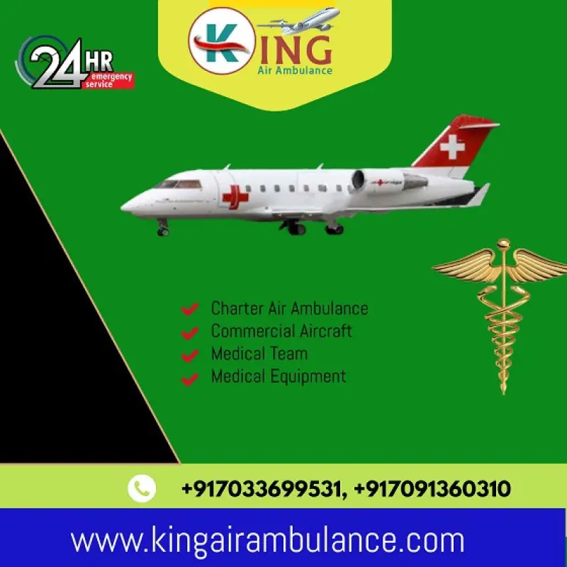 King Air Ambulance Avatar Bg