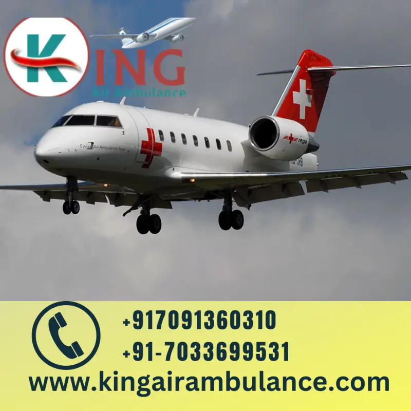 King Air Ambulance Avatar Bg