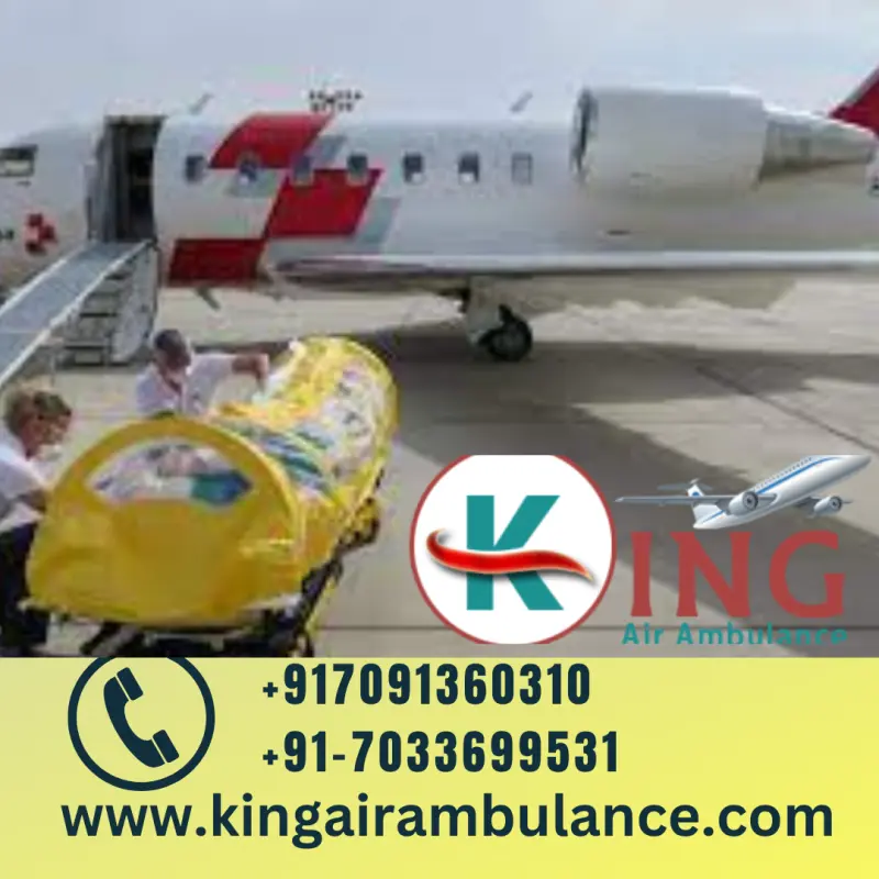 King Air Ambulance Avatar Bg