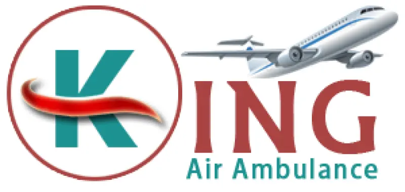 King Air Ambulance Avatar Bg