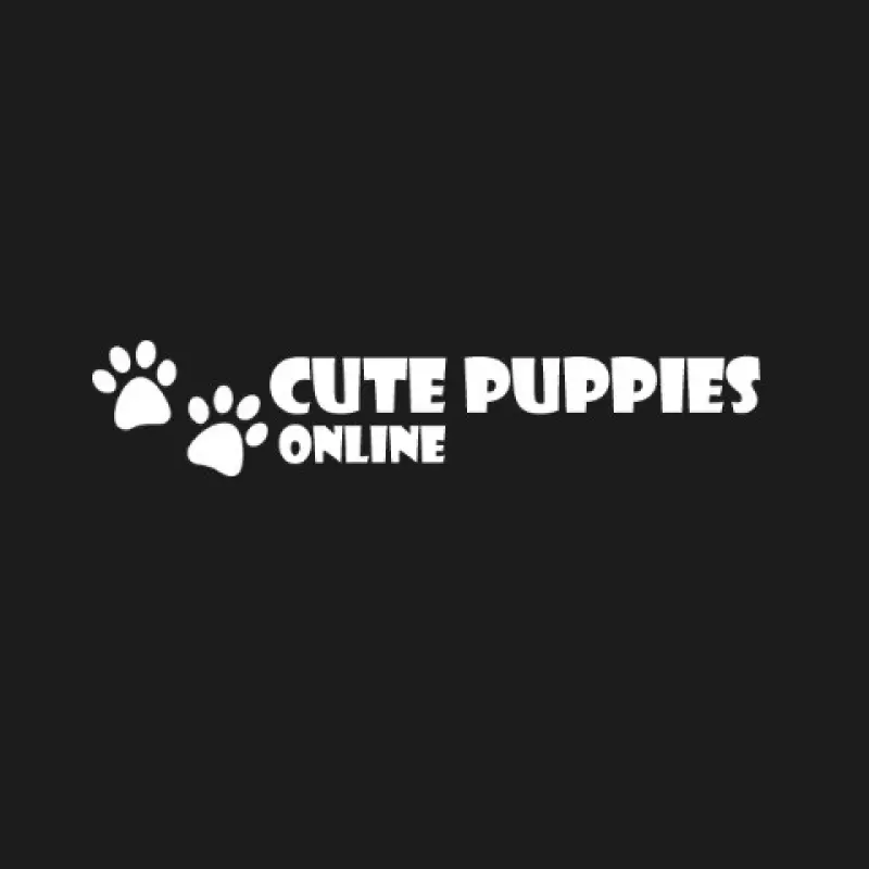 Cs Puppies LLC Avatar Bg