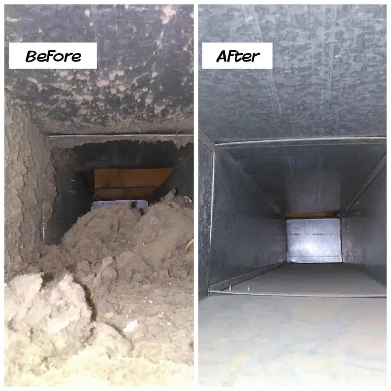 Acrepair Pembrokepines Avatar Bg