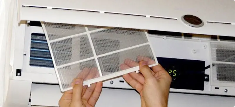 Acrepair Pembrokepines Avatar Bg
