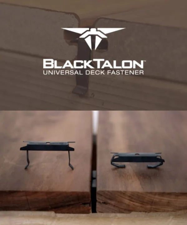 Black Talon Universal Dec Avatar Bg